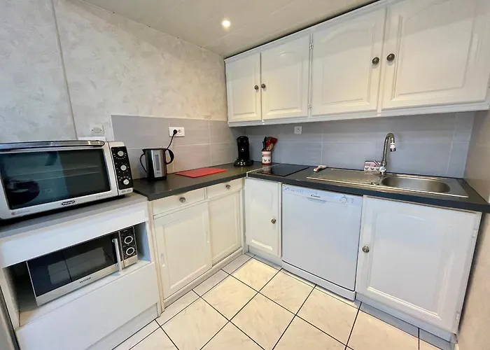 Maison Renovee Avec Piscine Chauffee, Tennis Et Parking A 100m Des Commerces - Fr-1-231-330 度假居